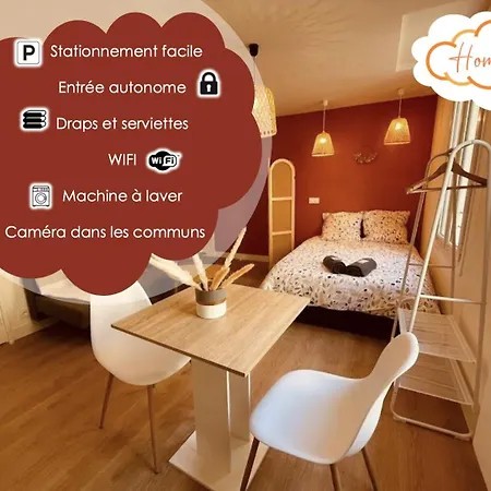 Appartement Le Wild Terracota - Centre hitorique - Wifi et Netflix - stationnement à proximité à Niort Extérieur photo
